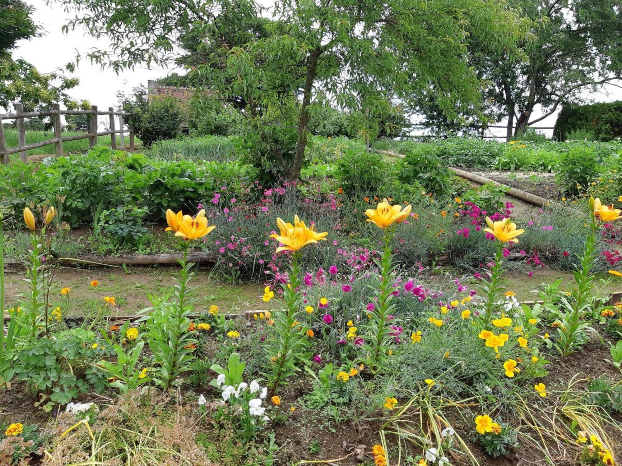 Maison De Charme Avec Jardin, Nature, Cheminee, Wifi, Proche Manoirs Et Rivieres Tortueuses - Fr-1-497-99 Saint-Bômer-les-Forges Kültér fotó